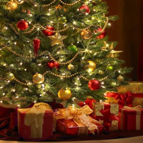 Navidad: Tiempo de Renovación Navidad: Tiempo de Renovación